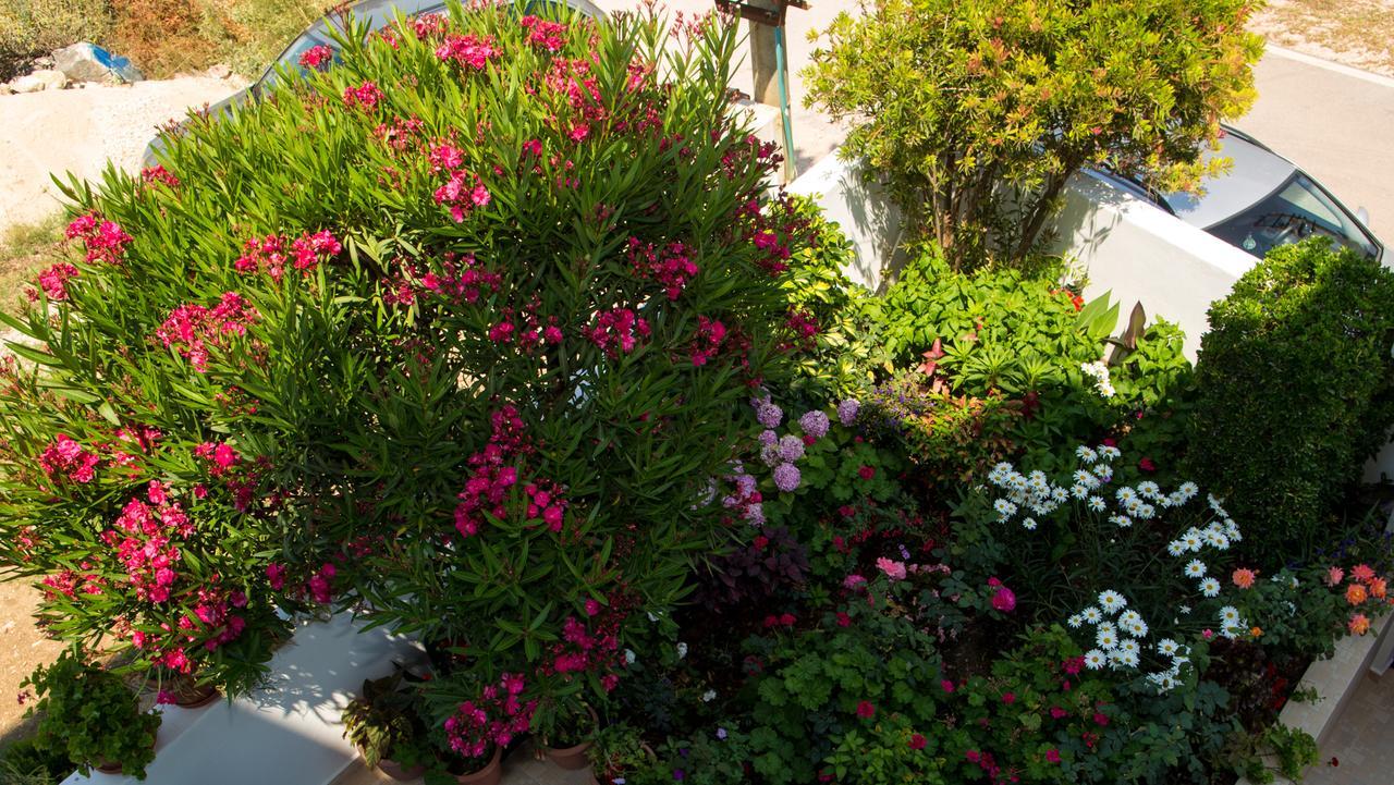 Erdeti Boutique Hotel Saranda Dış mekan fotoğraf