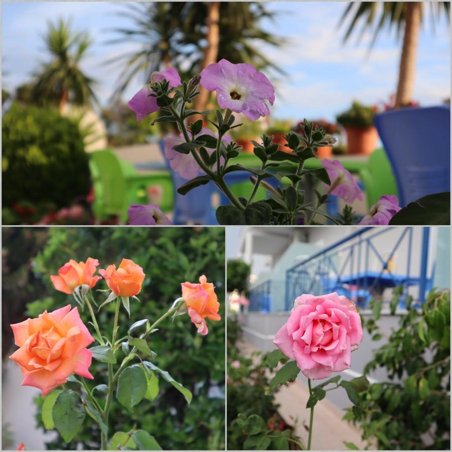 Erdeti Boutique Hotel Saranda Dış mekan fotoğraf